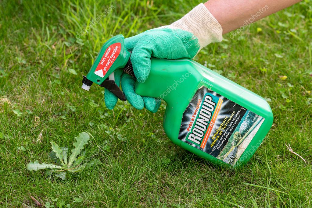 Paris, France - August 15, 2018 : Gardener using Roundup herbicide in a french garden. Roundup is a brand-name of an herbicide containing glyphosate, made by Monsanto Company.