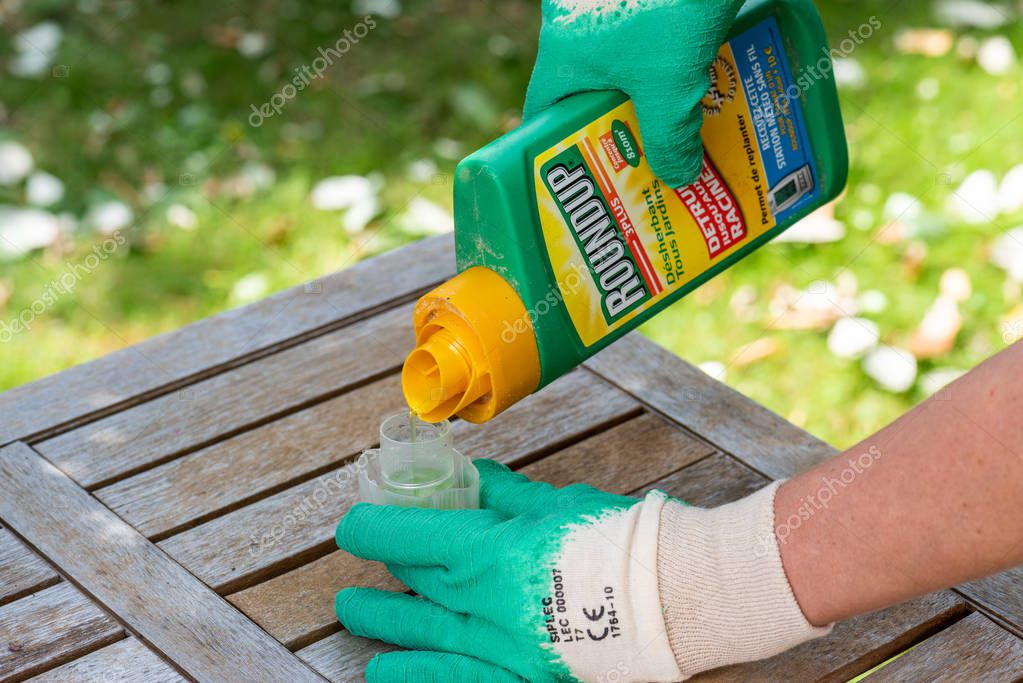 Paris, France - August 15, 2018 : Gardener using Roundup herbicide in a french garden. Roundup is a brand-name of an herbicide containing glyphosate, made by Monsanto Company.