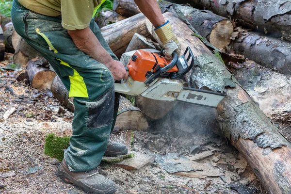 Madera Cortando Árboles Con Una Motosierra Bosque —  Fotos de Stock