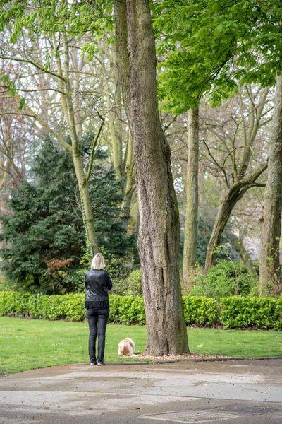 Mulher Passeando Seu Cão Parque — Fotografia de Stock