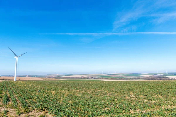 Des éoliennes sur une colline. Turbines éoliennes produisant de l'électricité wi — Photo