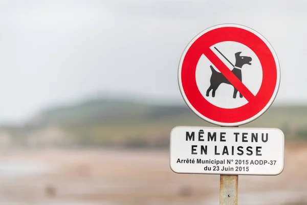 Letrero Prohibición Perros Una Playa Francia — Foto de Stock