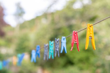 Bahçedeki çok renkli mandal.