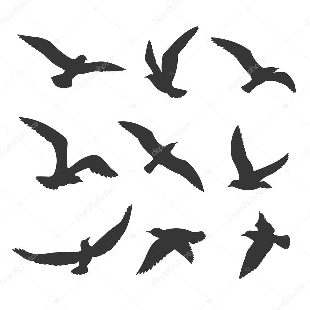 Flying birds silhouette vector set