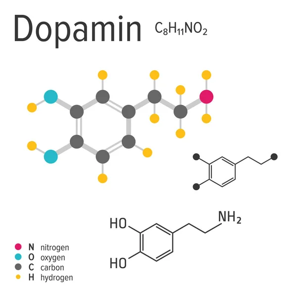 Chemische formule van de vector dopamin molecule — Stockvector