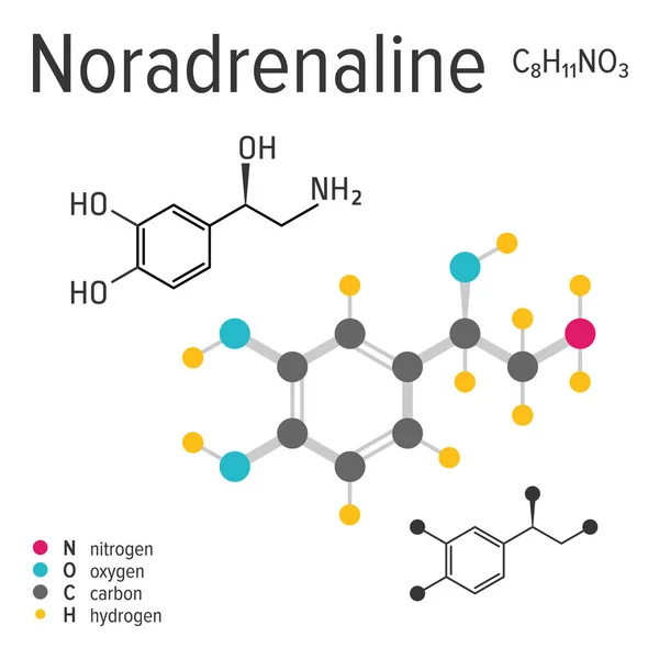 Chemische formule van een vector noradrenaline molecuul — Stockvector
