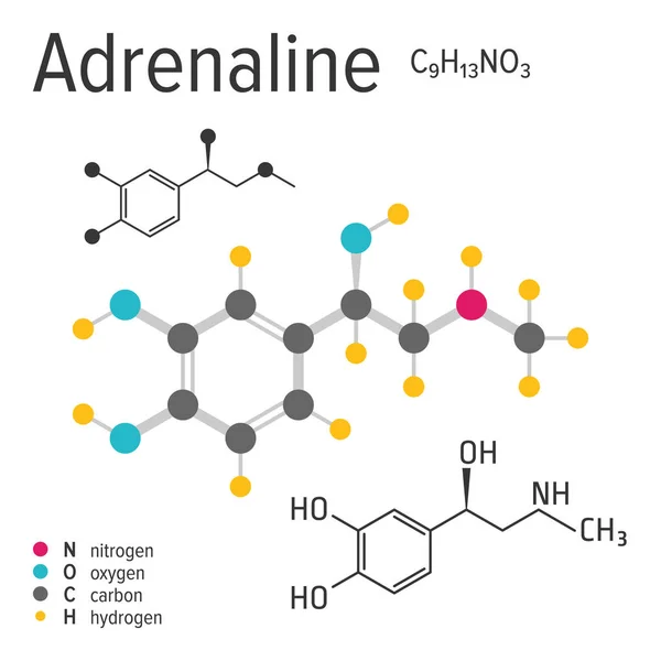 Fórmula química da molécula de adrenalina vetorial —  Vetores de Stock