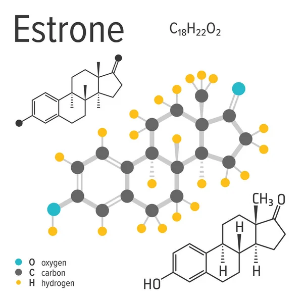 Formula chimica della molecola di estrone vettoriale — Vettoriale Stock