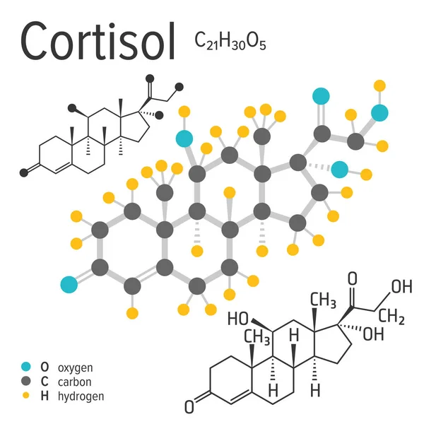 Chemische formule van het vector cortisol molecuul — Stockvector