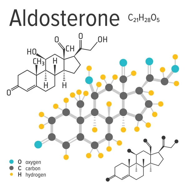 Formula chimica di una molecola di aldosterone vettore — Vettoriale Stock