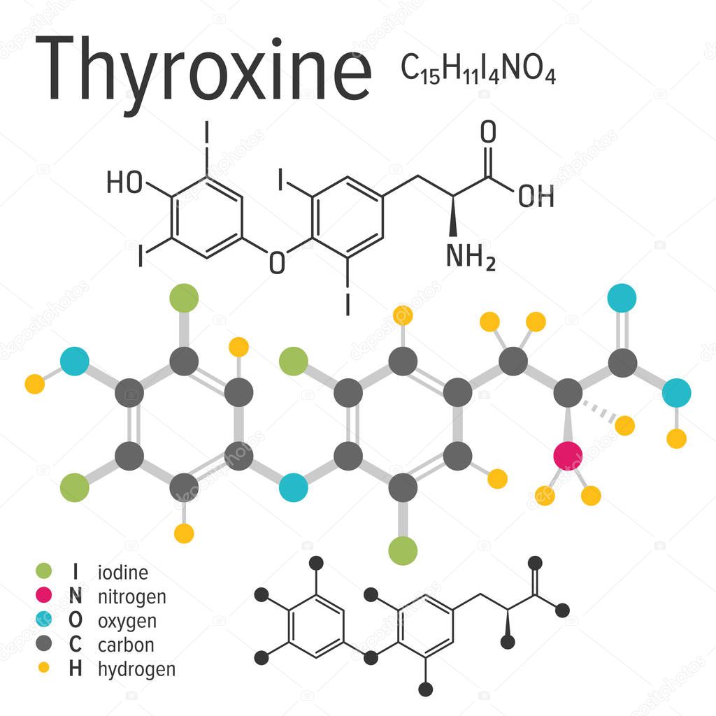 Chemical formula, structure and model of the thyroxine molecule, vector illustration