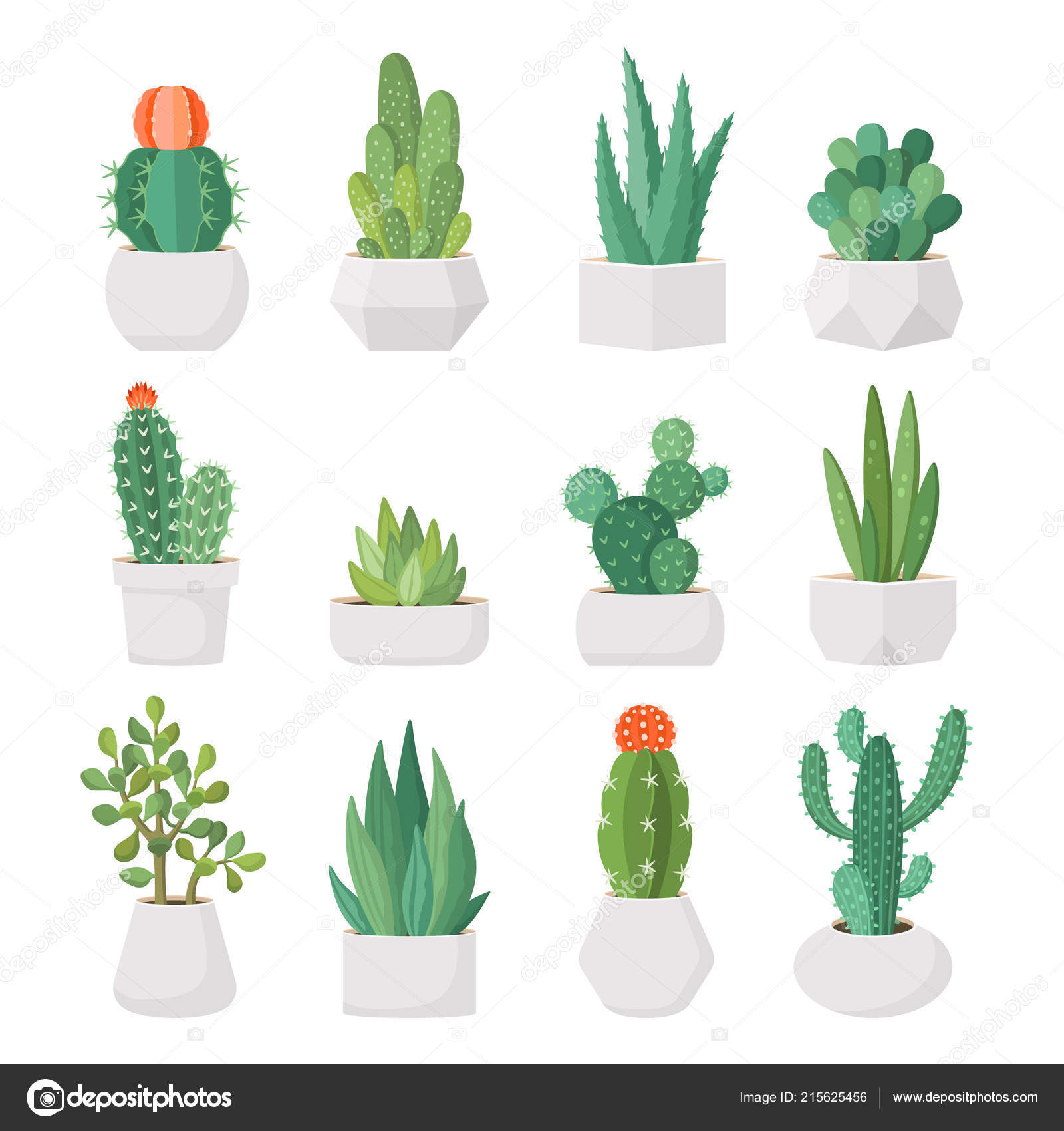 Conjunto de cactos em estilo simples de desenho animado isolado no