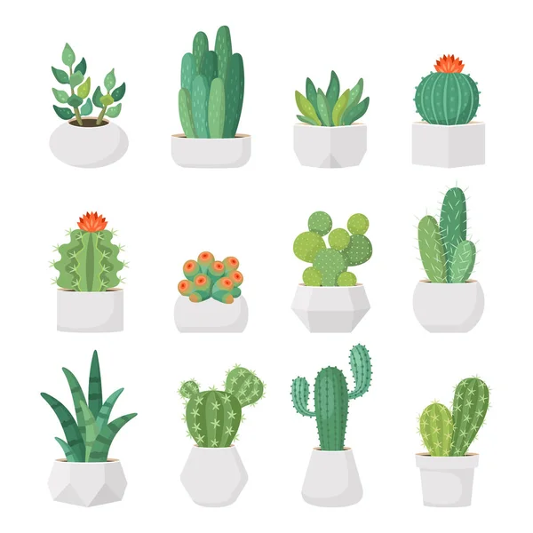 Cartoon cactus en vetplanten in potten vector set — Stockvector