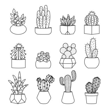 Vektör kümesi satır stili kaktüs ve succulents