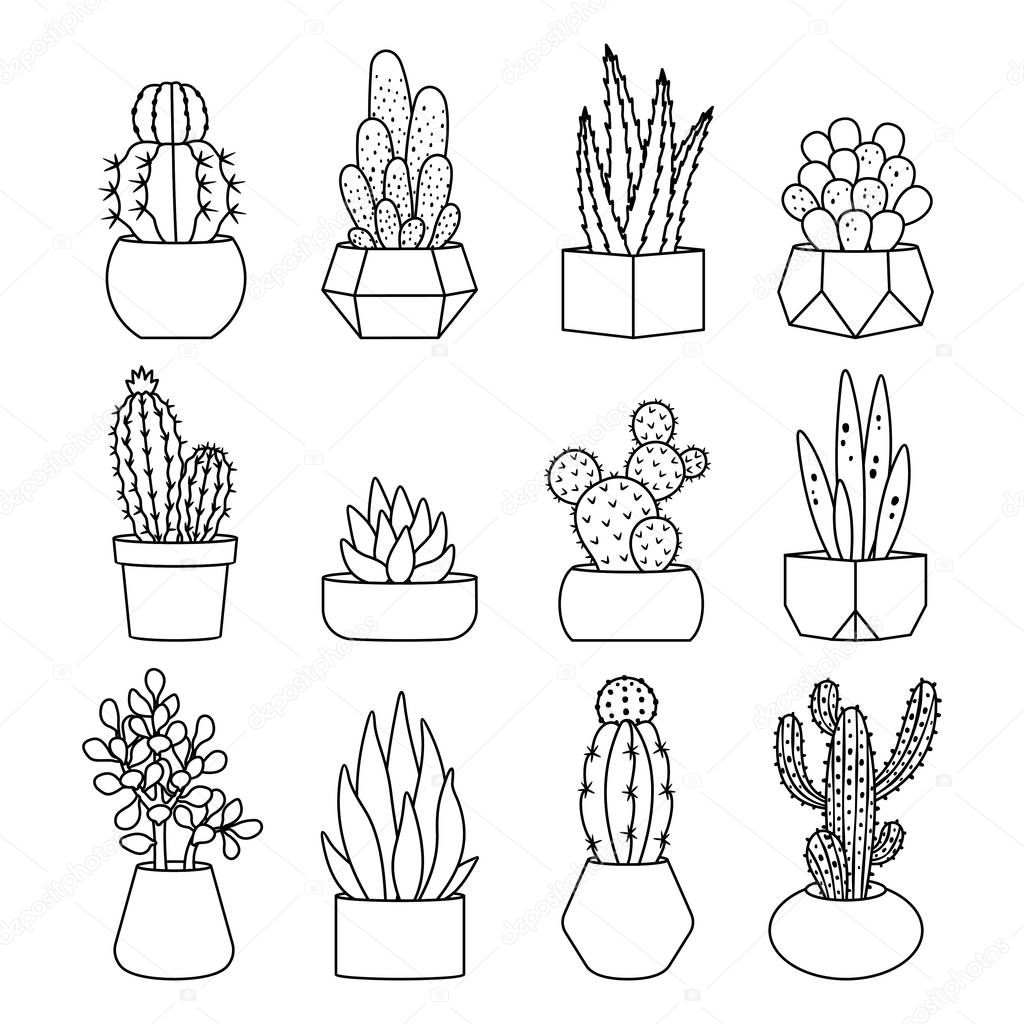 Line style cactus and succulents vector set