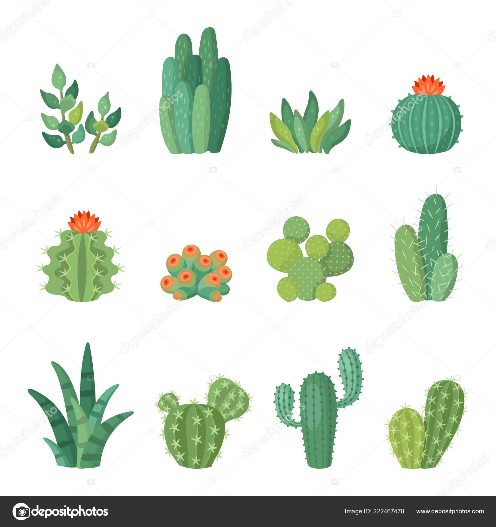 Conjunto de cactos em estilo simples de desenho animado isolado no