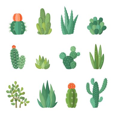 Vektör set cartoon Cartoon kaktüs ve succulents