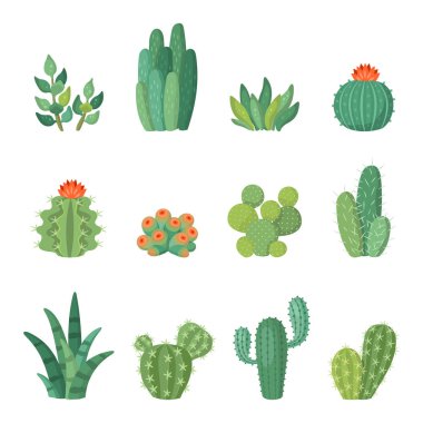 Vektör set cartoon Cartoon kaktüs ve succulents