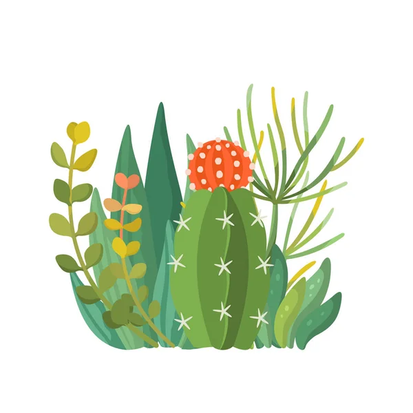 Plantas de la casa tropical y composición de cactus, vector — Archivo Imágenes Vectoriales