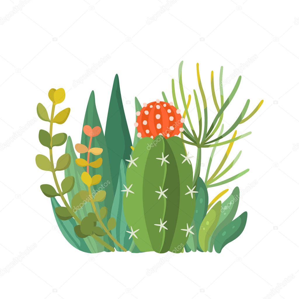 Tropical house plants and cactus composition, vector