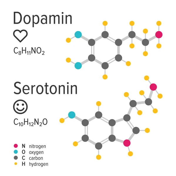 Ormoni dopaminergici e serotoninergici formule chimiche vettoriali — Vettoriale Stock
