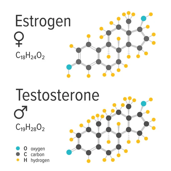 Östrojen ve uyguladı hormonlar kimyasal formüller vektör — Stok Vektör