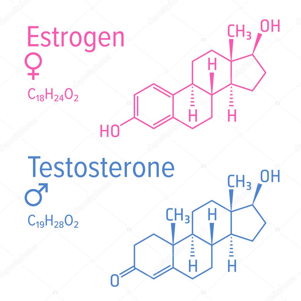 Estrogen and testosteron hormones vector chemical formulas