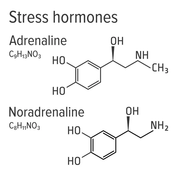 Adrenaline en noradrenaline stress harmones vector chemische formules — Stockvector
