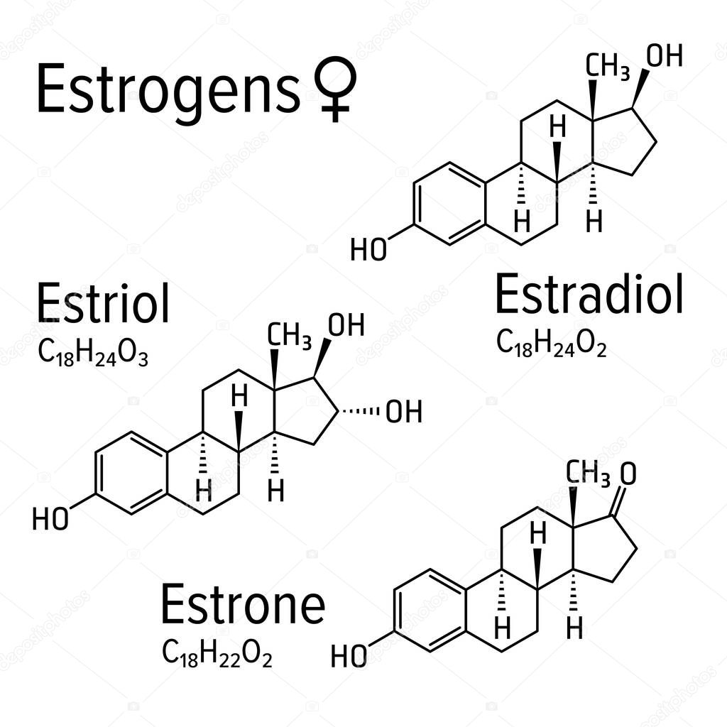 Estrogens female hormones vector chemical molecular formulas
