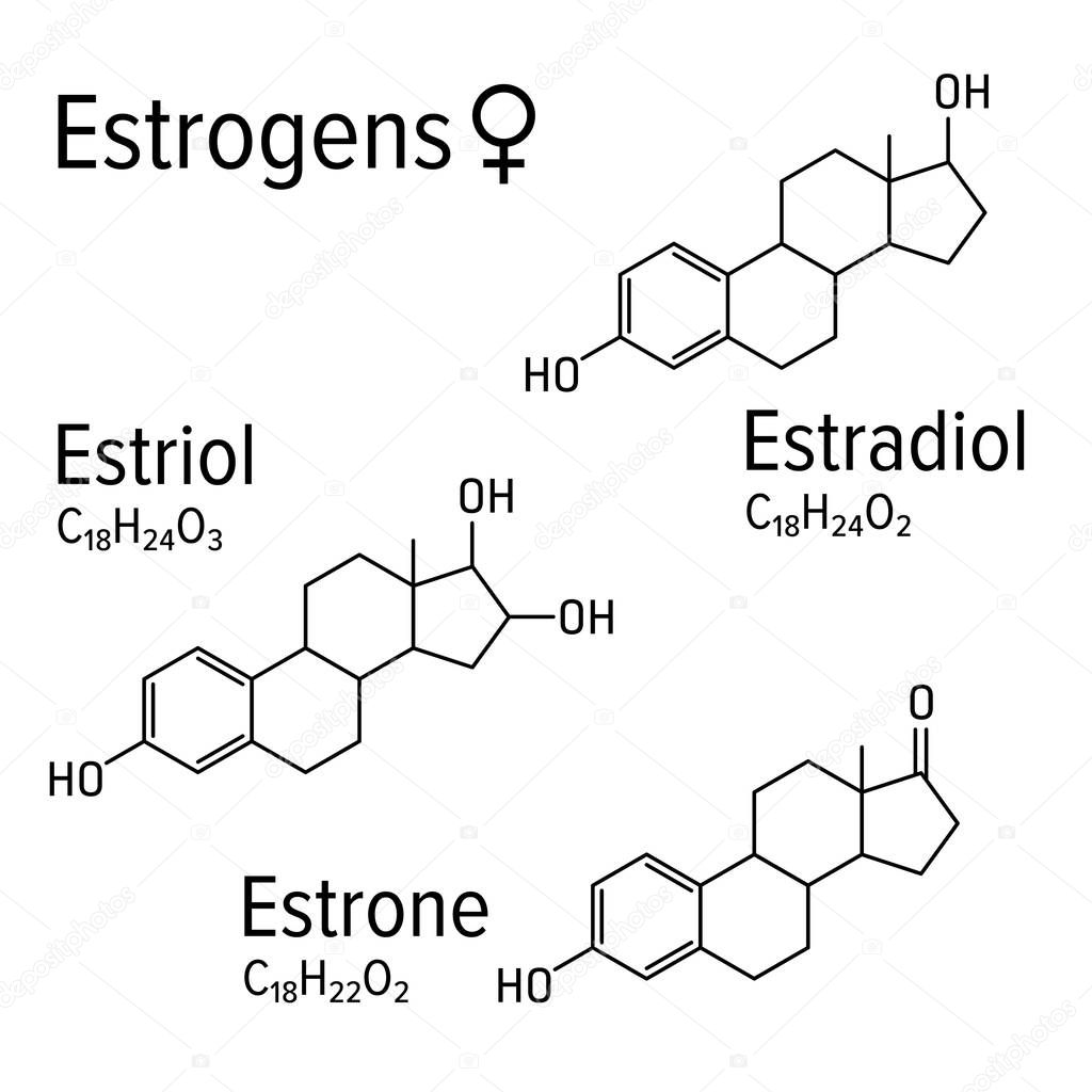 Estrogens female hormones vector chemical molecular formulas