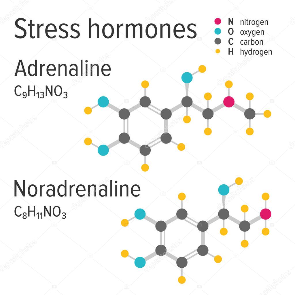 Adrenaline and noradrenaline stress harmones vector chemical formulas