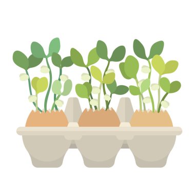 Egg box with eggs and young fresh sprouts in them clipart
