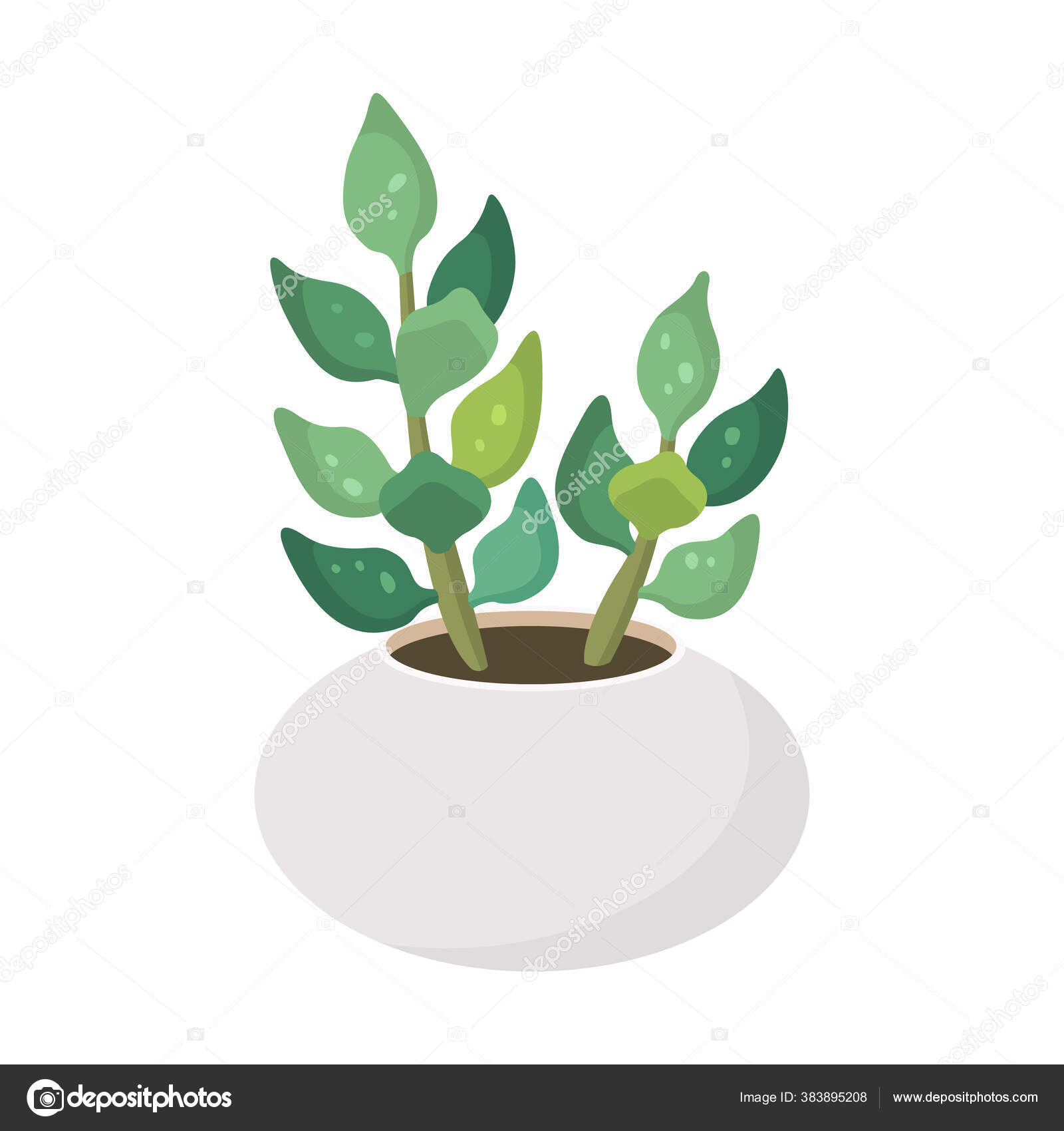 Kaktus Dan Lezat Dalam Pot Domestik Warna Warni Gambar Vektor