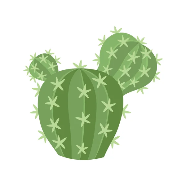Cactus en sappige kleurrijke cartoon vector illustratie — Stockvector