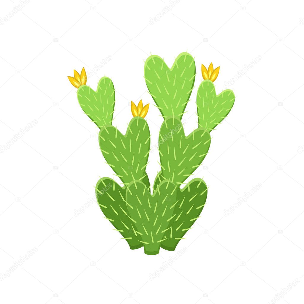Colorful cactus and succulent plant vector illustration