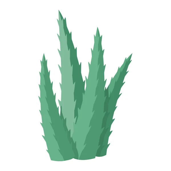 Cactus și ilustrație vectorială de desene animate suculente colorate — Vector de stoc