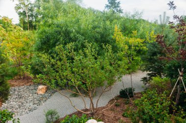 güzel Japon taş Peyzaj Bahçe