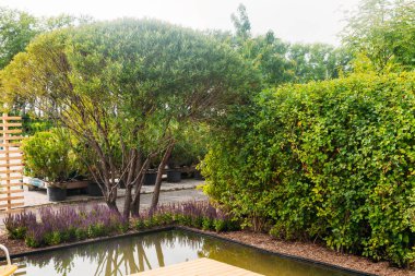 yer dinlenme açık için sakin bölge