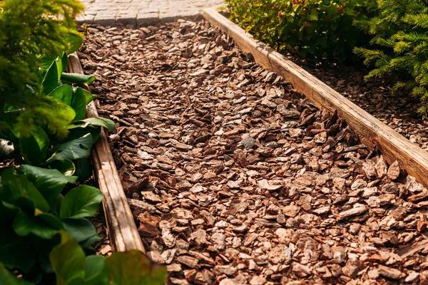 patika ile Ağaç yongaları ekolojik