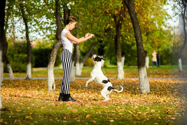 Девушка и собака в парке на открытом воздухе Лицензионные Стоковые Изображения