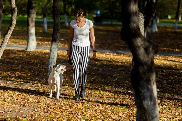 Девушка и собака в парке на открытом воздухе Стоковая Картинка