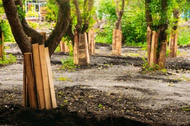 İnşaat makineleri koruma ağaçlar