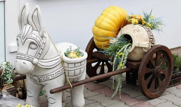 çiçekli bir sepeti taşıyan eşek