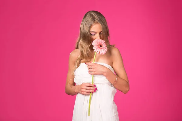 Piękne Kobiety Różowym Tle Kobieta Trzyma Gerbera Stokrotka Kwiat — Zdjęcie stockowe