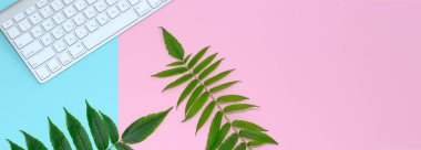 Üstten görünüm, klavye ve pembe ve mavi kağıt üzerinde yeşil yaprakları.