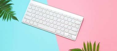 Üstten görünüm, klavye ve bir iki ton pembe ve mavi zemin üzerine yeşil yaprakları.