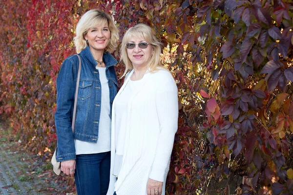 Felice Due Donne Mature Sullo Sfondo Del Parco Autunnale Anziani — Foto Stock