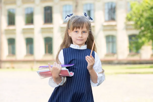 Powrót Szkoły Dziewczyna Uczennica Posiada Książki Notatniki Ołówek Ręce — Zdjęcie stockowe