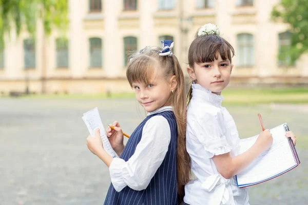 Deux Écolières Étudient Ensemble Écrivent Dans Carnet Tout Tenant Debout — Photo