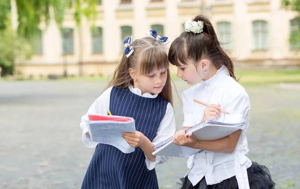 Dwie Uczennice Studiują Razem Piszą Notatniku Stojąc Tle Szkoły Przygotowanie — Zdjęcie stockowe